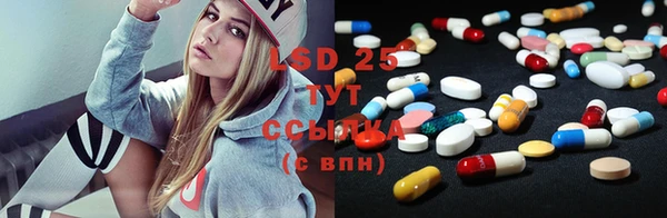 прущие крисы Беломорск